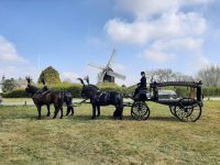 Brunswick 4 black horses